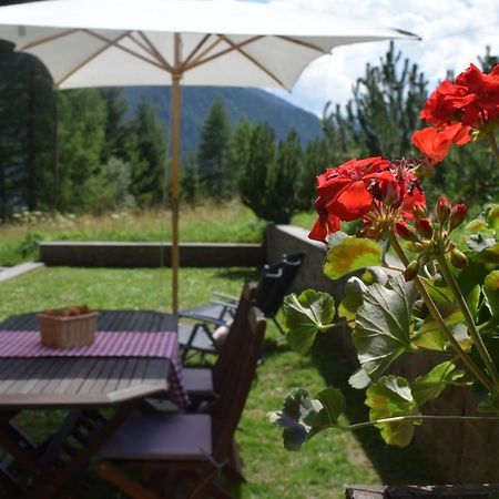 Chalet Do Costa Pozza di Fassa Buitenkant foto